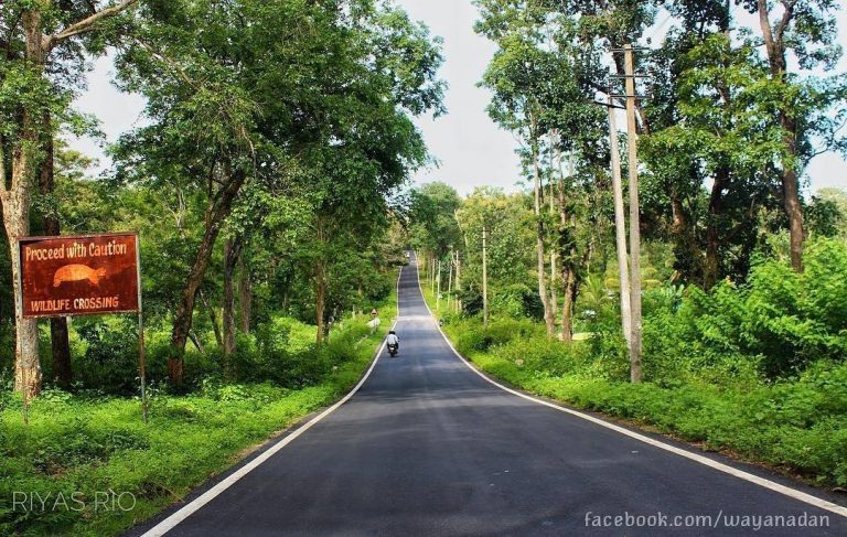 Bavali Mysore Road..
 @riyasrio
.
.
#road #roadtrip #nature #naturalhairstyles #…