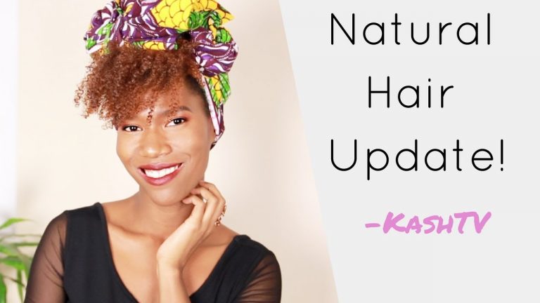 Natural Hair Update (Dec 2017) -KashTV