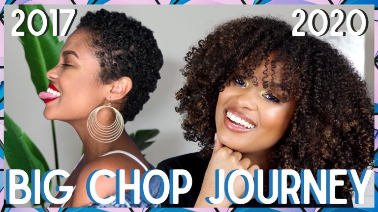 big chop journey update: how my natural hair regimen has changed | alyssa marie